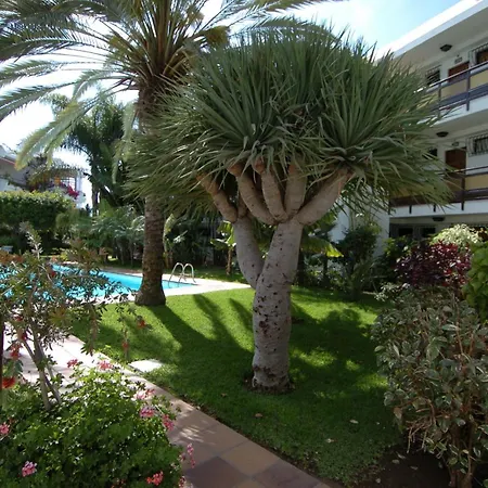 Taboga (adults Only) פלאייה דל אינגלז